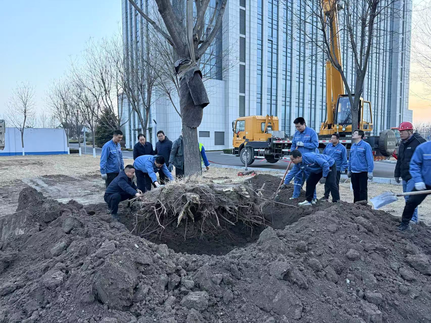 2025年3月1日365电子游戏干部职工合力栽下新春第一树